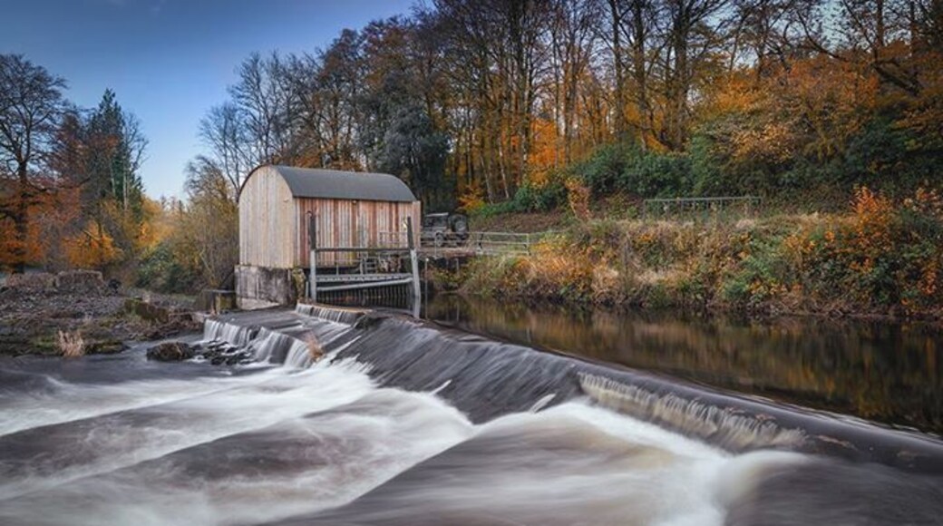 River Burle - Dulverton