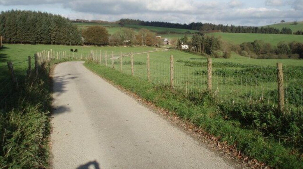 The road to King's Brompton Farm
