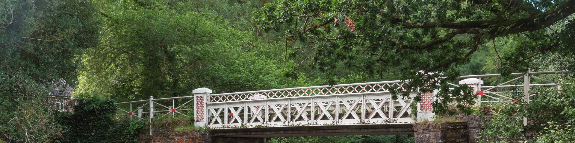 Marsh Bridge, shot after a night of heavy rain, Dulverton, Somerset, England, UK
