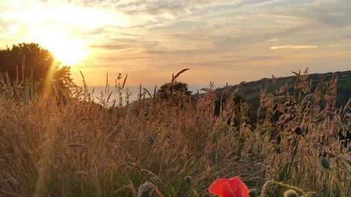 Wonderful summer sunset from Exmoor, overlooking Combe Martin