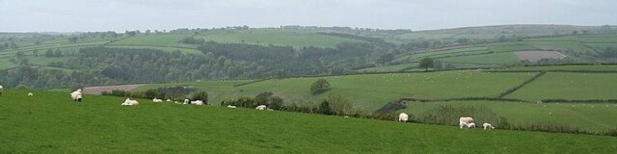 Brompton Regis: near Combehead Cross Looking west-south-west towards the Exe valley, indicated by the woods in the distance, well beyond the square