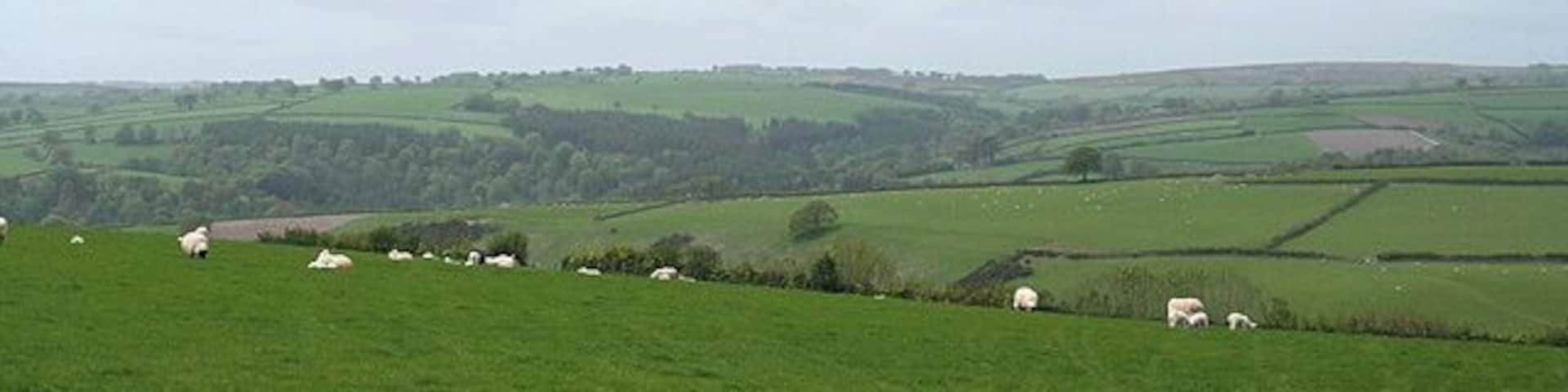 Brompton Regis: near Combehead Cross Looking west-south-west towards the Exe valley, indicated by the woods in the distance, well beyond the square
