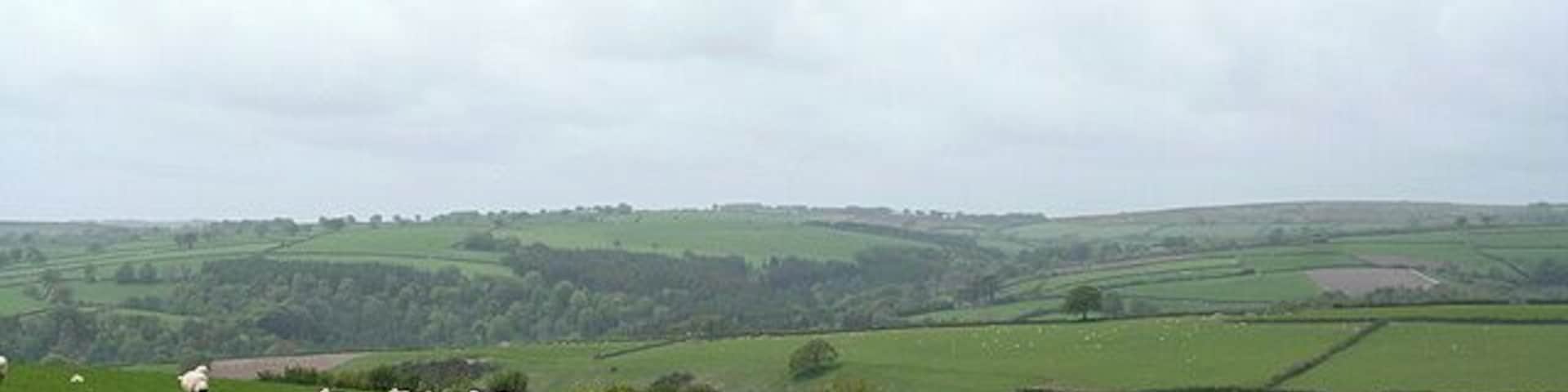 Brompton Regis: near Combehead Cross Looking west-south-west towards the Exe valley, indicated by the woods in the distance, well beyond the square