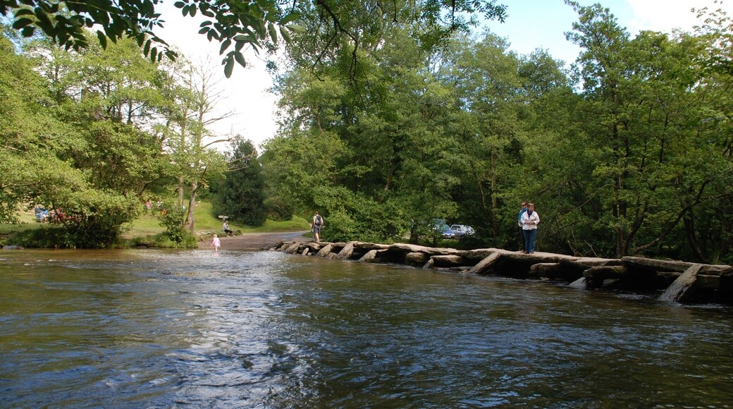 Ancient crossing of River Barle