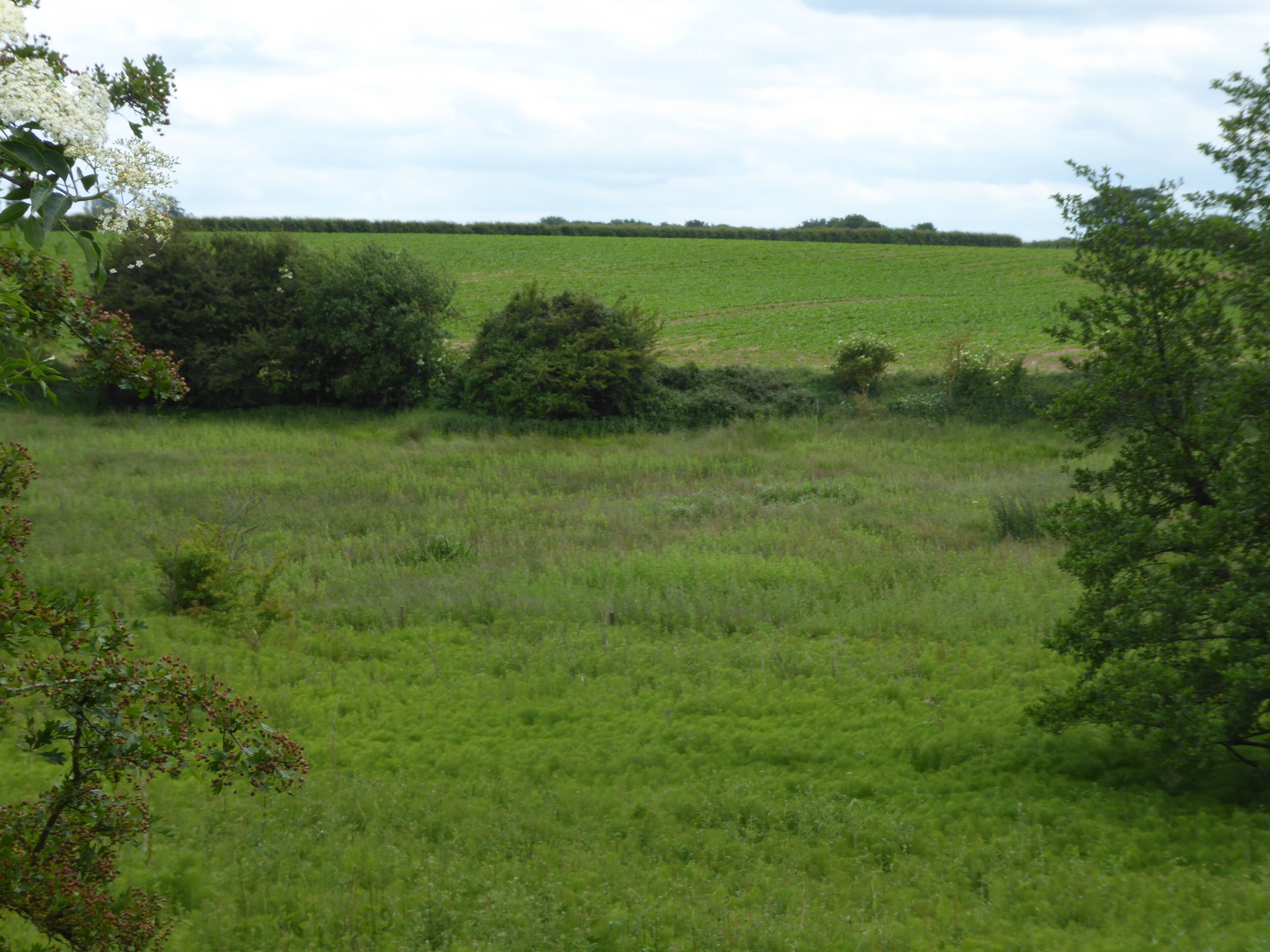 Hindringham Meadows