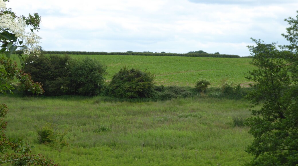 Hindringham Meadows