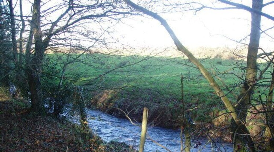 River Stiffkey The fast-flowing River Stiffkey, seen here at Wade's Beck Bridge, soon turns north and heads towards the North Norfolk coast.