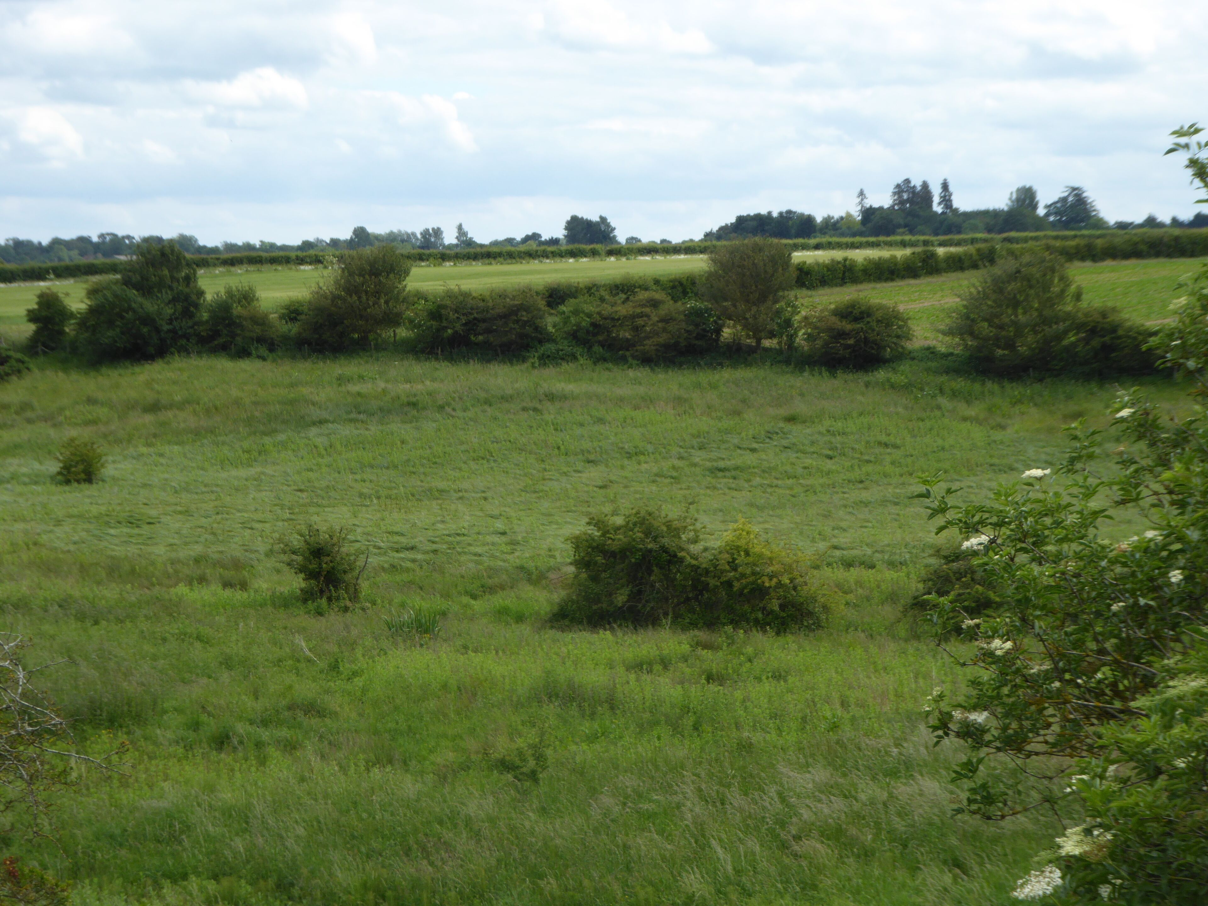 Hindringham Meadows
