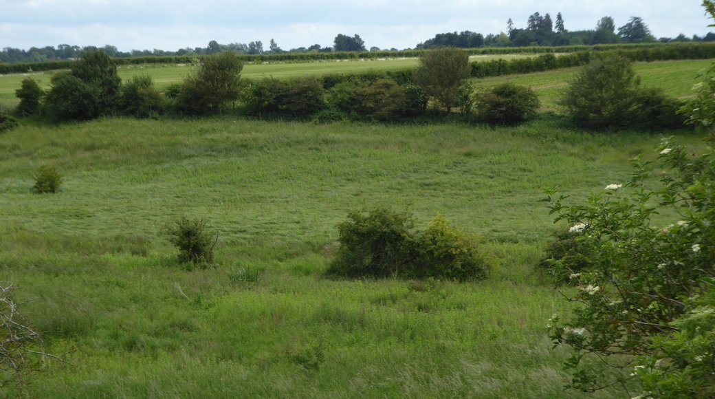 Hindringham Meadows
