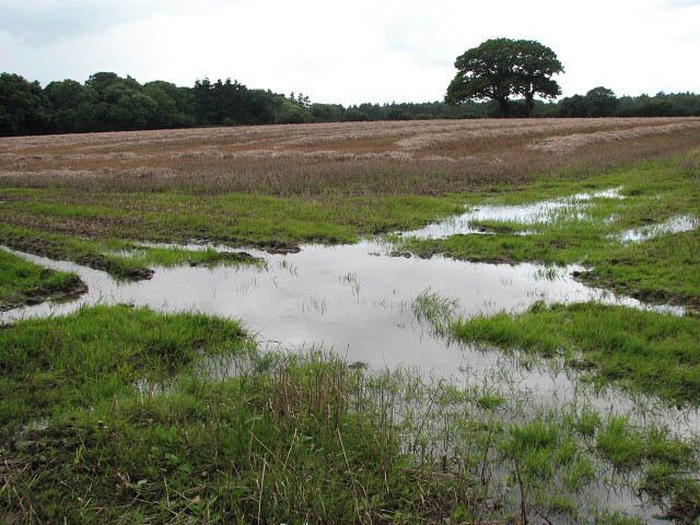 View towards Thursford Wood. After passing an unnamed woodland > 952404 the path leads past a harvested cereal field, giving a first view of Thursford Wood Nature Reserve > 952470 the edge of which can be seen in the background. The continuous noise of cars travelling on the A148, on the other side of Thursford Wood, can now clearly be discerned.