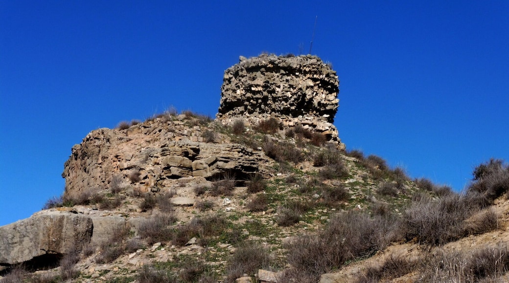Castell de l'Ofegat (Tàrrega)