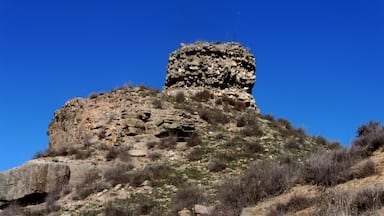 Castell de l'Ofegat (Tàrrega)