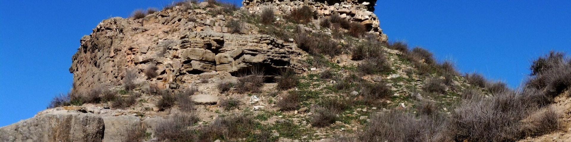 Castell de l'Ofegat (Tàrrega)