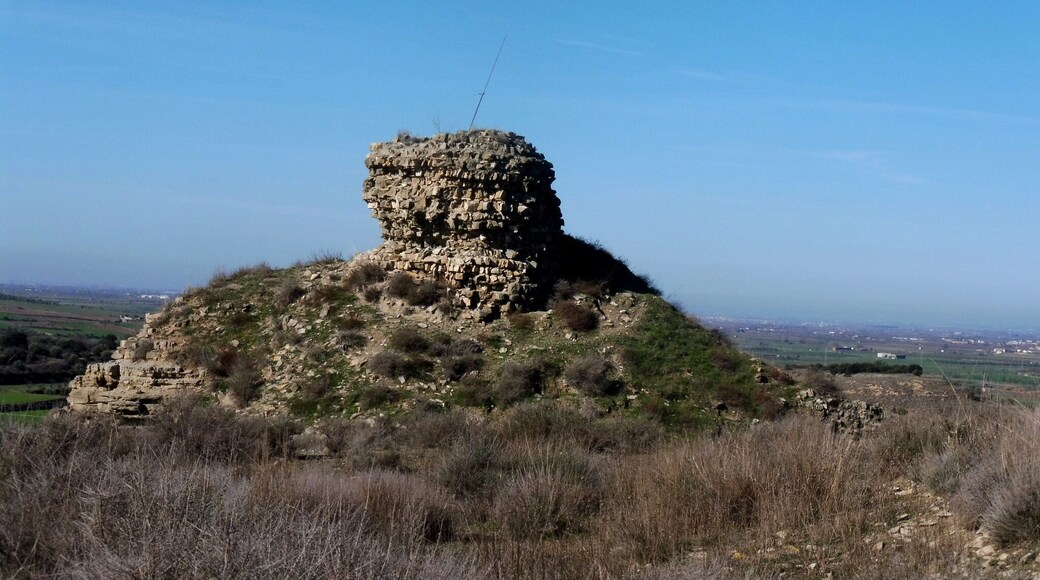 Castell de l'Ofegat (Tàrrega)