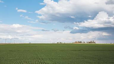 Clouds above agricultural farmland in Westmorland, California