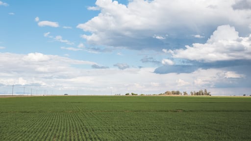 Clouds above agricultural farmland in Westmorland, California