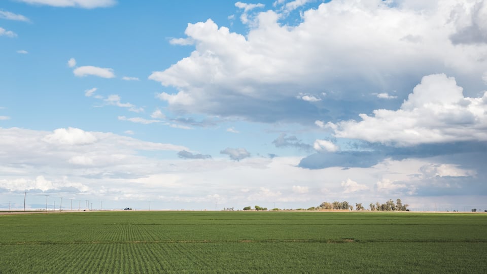 A vast green field under a partly cloudy sky.