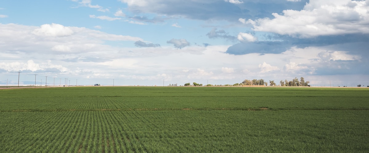 Clouds above agricultural farmland in Westmorland, California