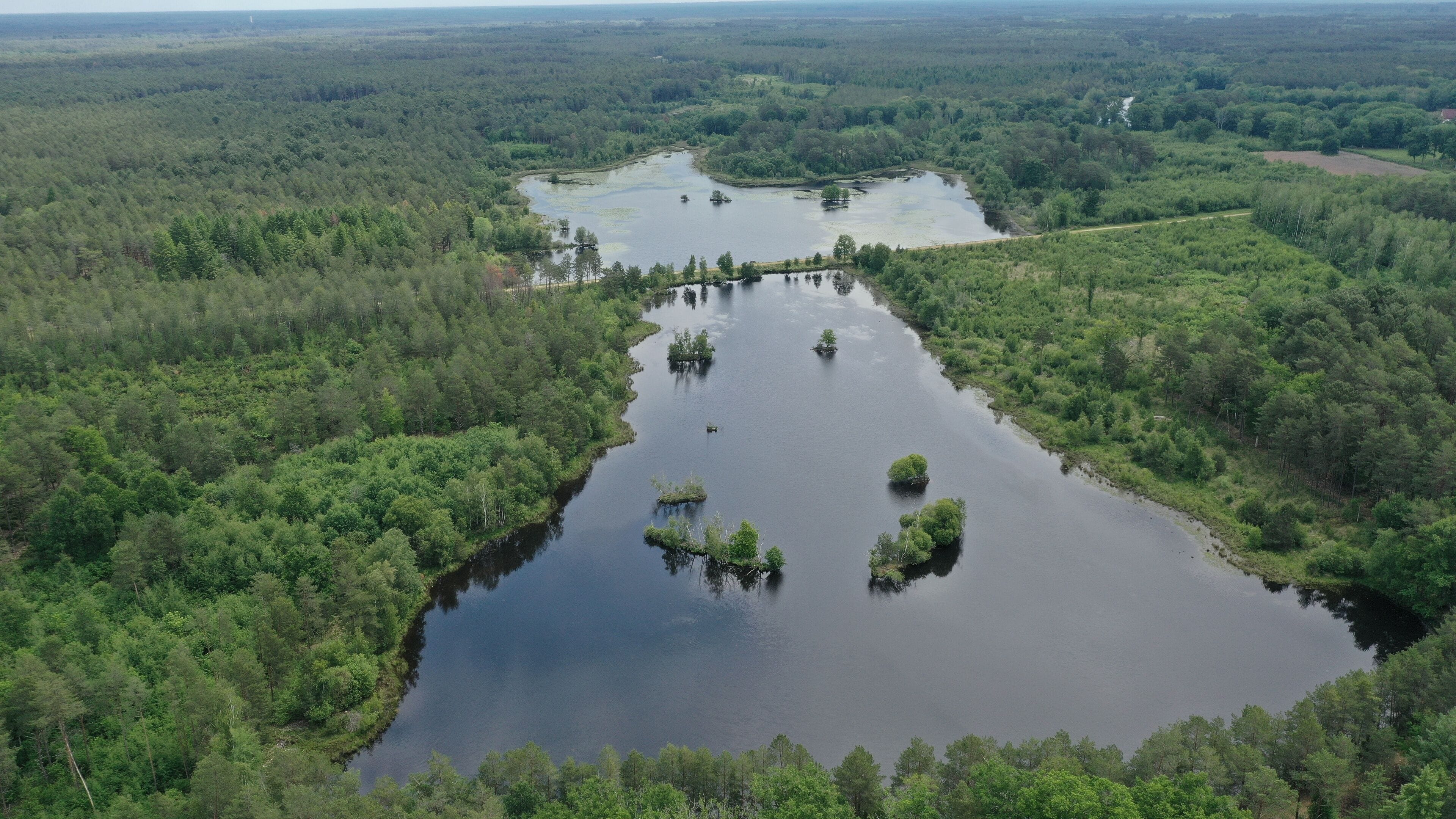 survol de la Foret de la Sologne et des lacs près de Salbris