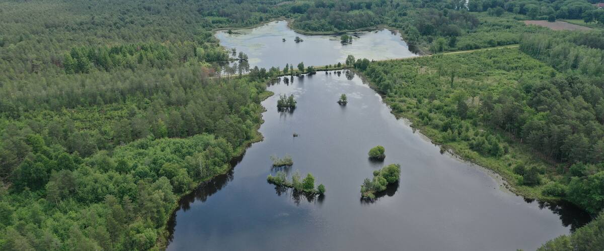 A large lake surrounded by dense forest.