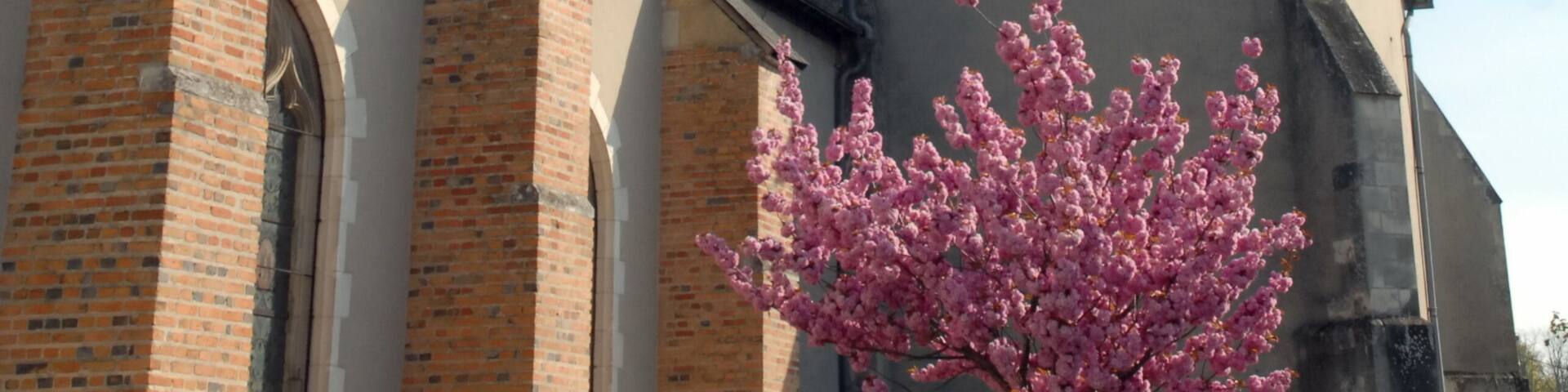 Ville de Salbris, église Saint-Georges et son clocher, un arbre en fleur en premier plan, département du Loir et Cher, France