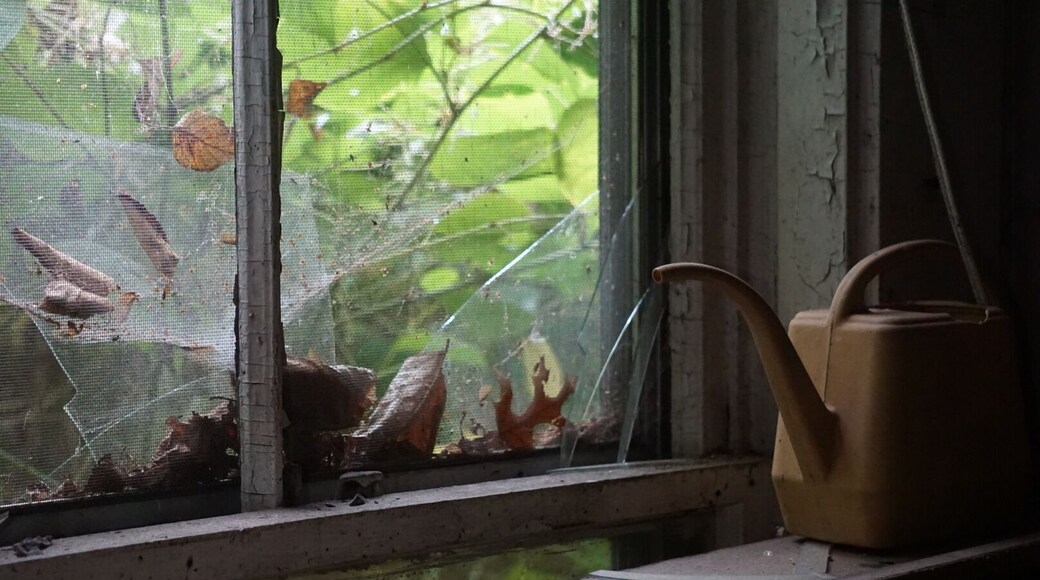 #abandoned #urbex #urbexworld