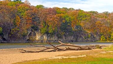 Quiet River Bluff in the Fall