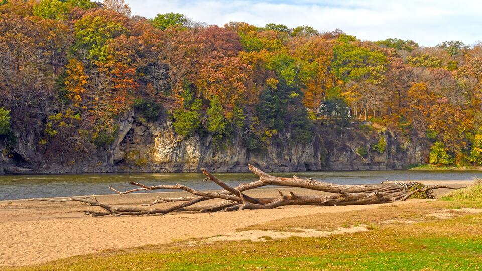 A riverbank with fallen logs, a grassy foreground, and a forested cliff in autumn colors.