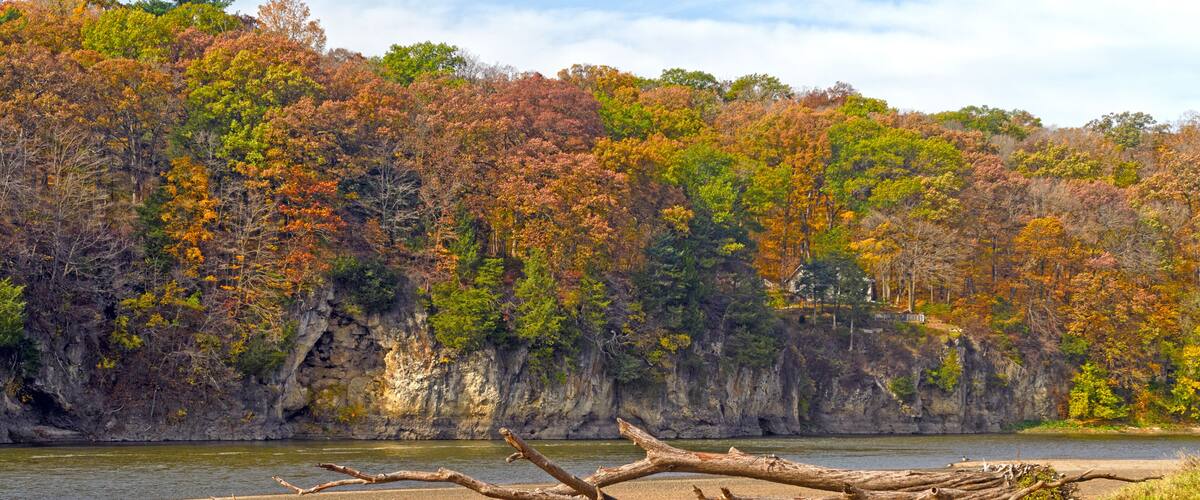 A riverbank with fallen logs, a grassy foreground, and a forested cliff in autumn colors.