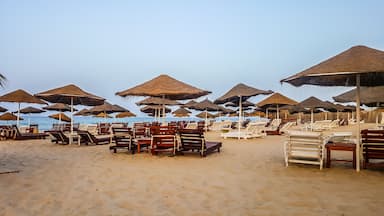 Beach with straw umbrellas in the evening.