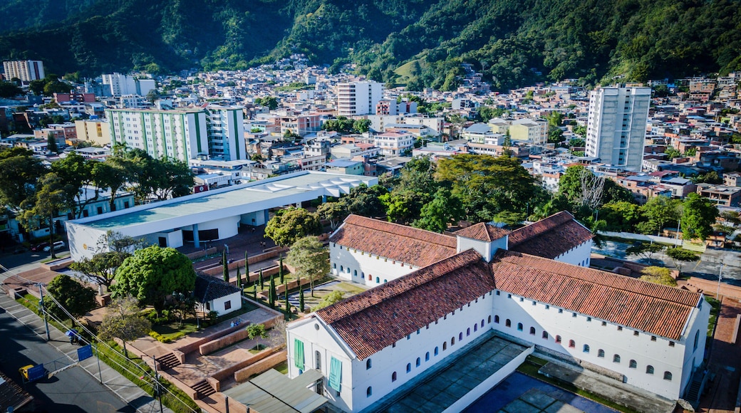 Mueseo Panoptico Ibagué Aerea
