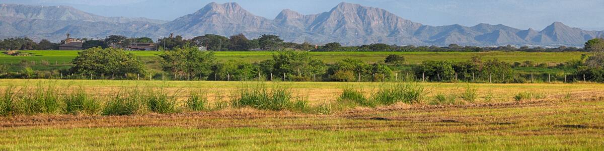 Las tetas de Doima- Ibagué Tolima