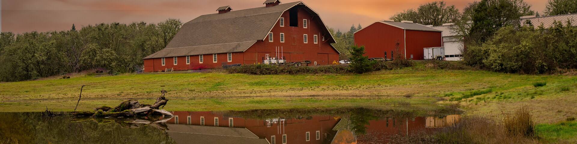 A red barn and a large reflection pond at sunrise on a farm in the Willamette Valley near Bellfountain Oregon