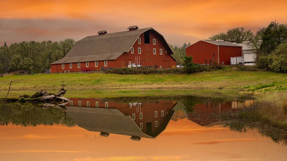 A red barn and a white building on a grassy field with a pond reflecting the structures.