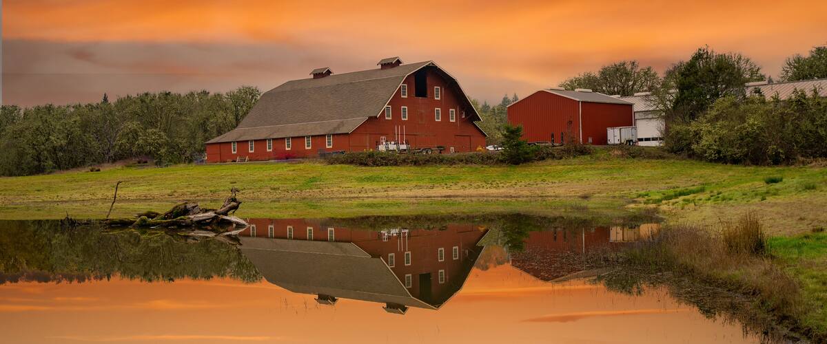 A red barn and a white building on a grassy field with a pond reflecting the structures.