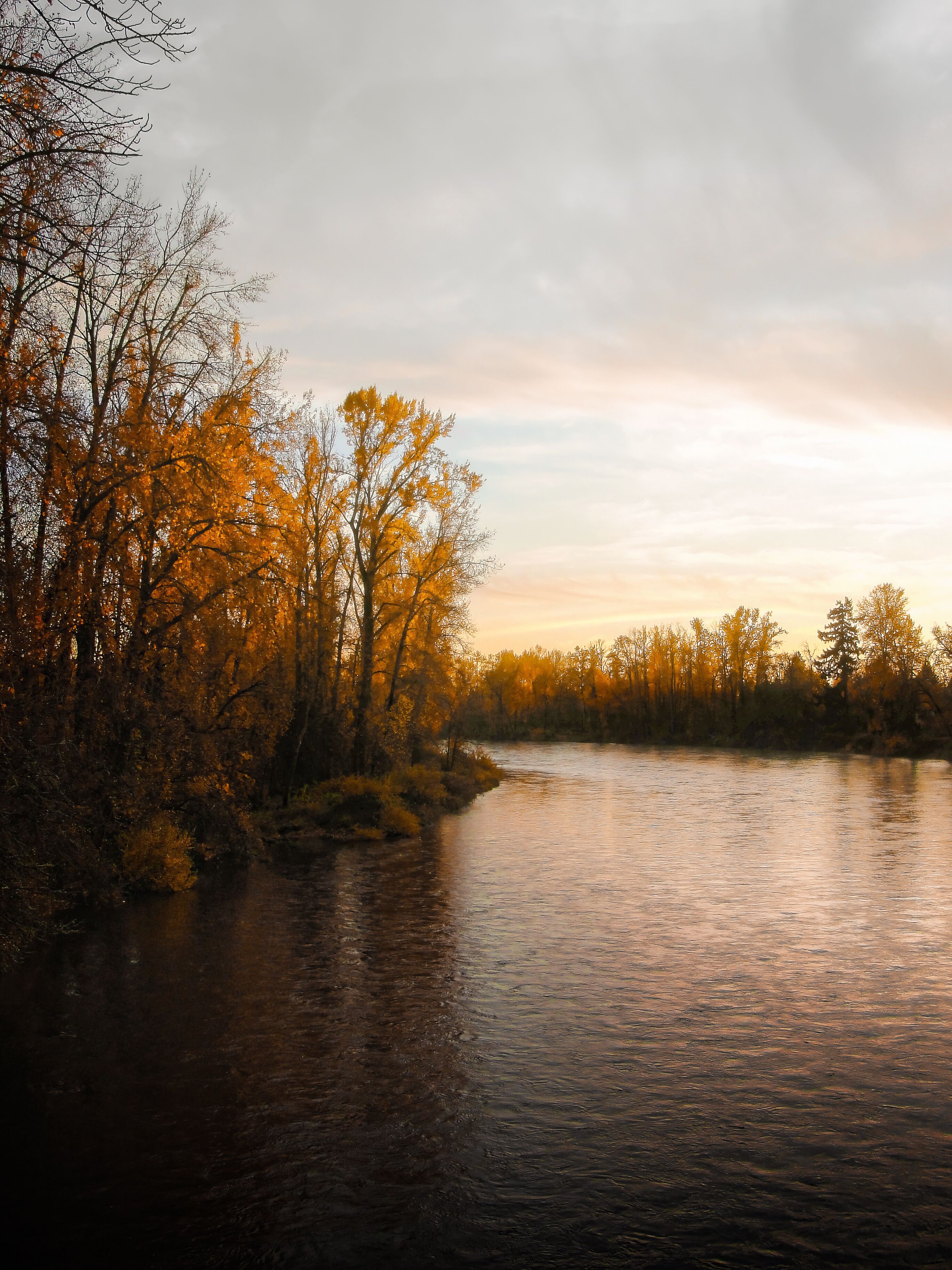 Sunset and autumn foliage along the Willamette River outside Eugene, Oregon