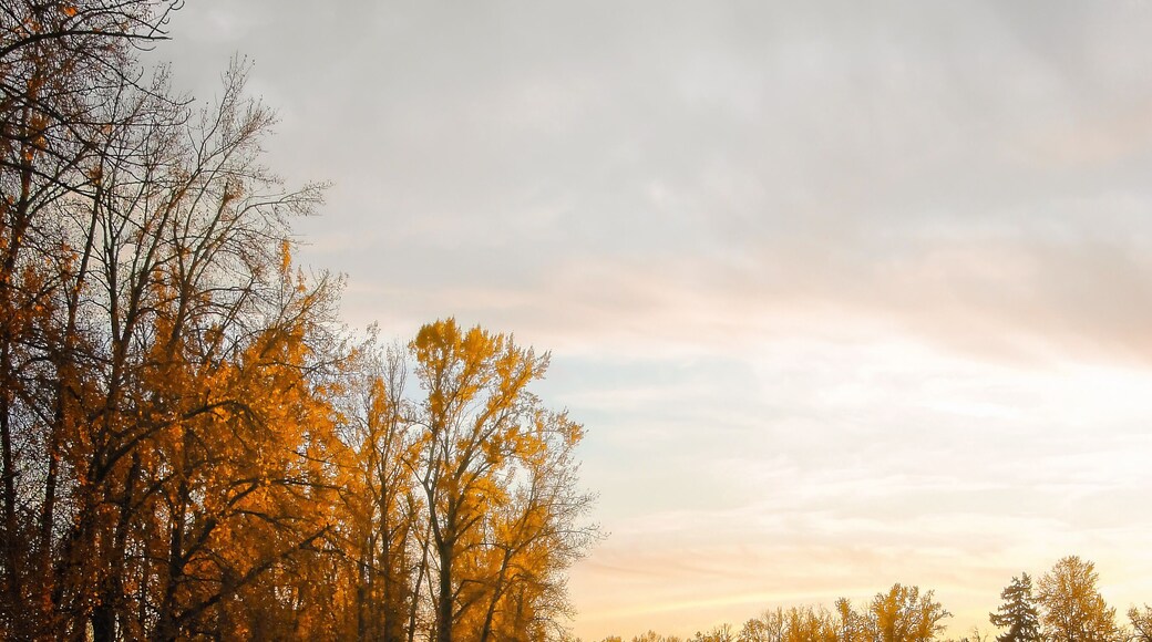Sunset and autumn foliage along the Willamette River outside Eugene, Oregon