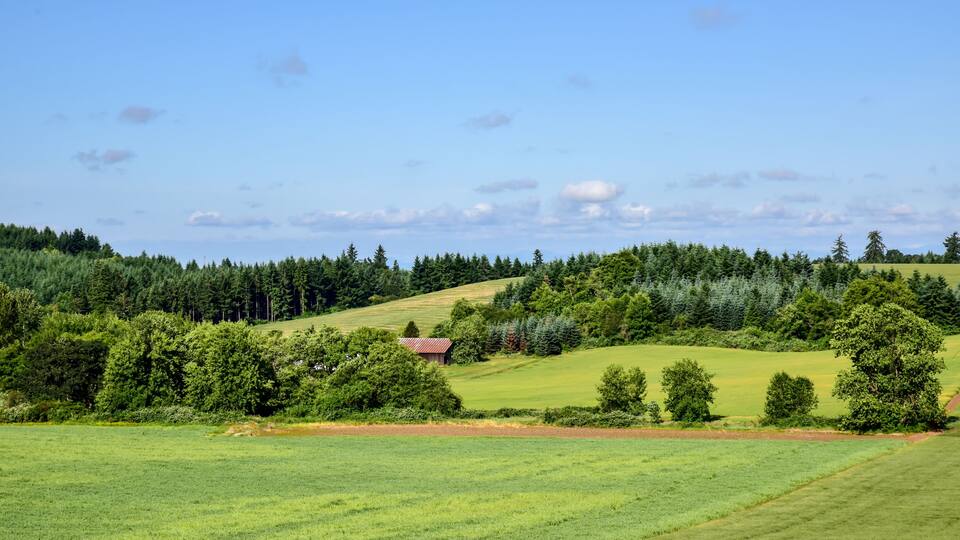 A green field, a red building, and a forest.