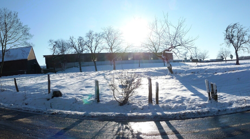 Winterliche Panoramaaufnahme an der Felderbachstraße in Hattingen (Gemarkung Oberelfringhausen), Ennepe-Ruhr-Kreis, Nordrhein-Westfalen; Blick nach Süden, links im Bild Hofgebäude Kühls (Felderbachstr. 118), rechts etwas weiter entfernt Häuser im Bruch