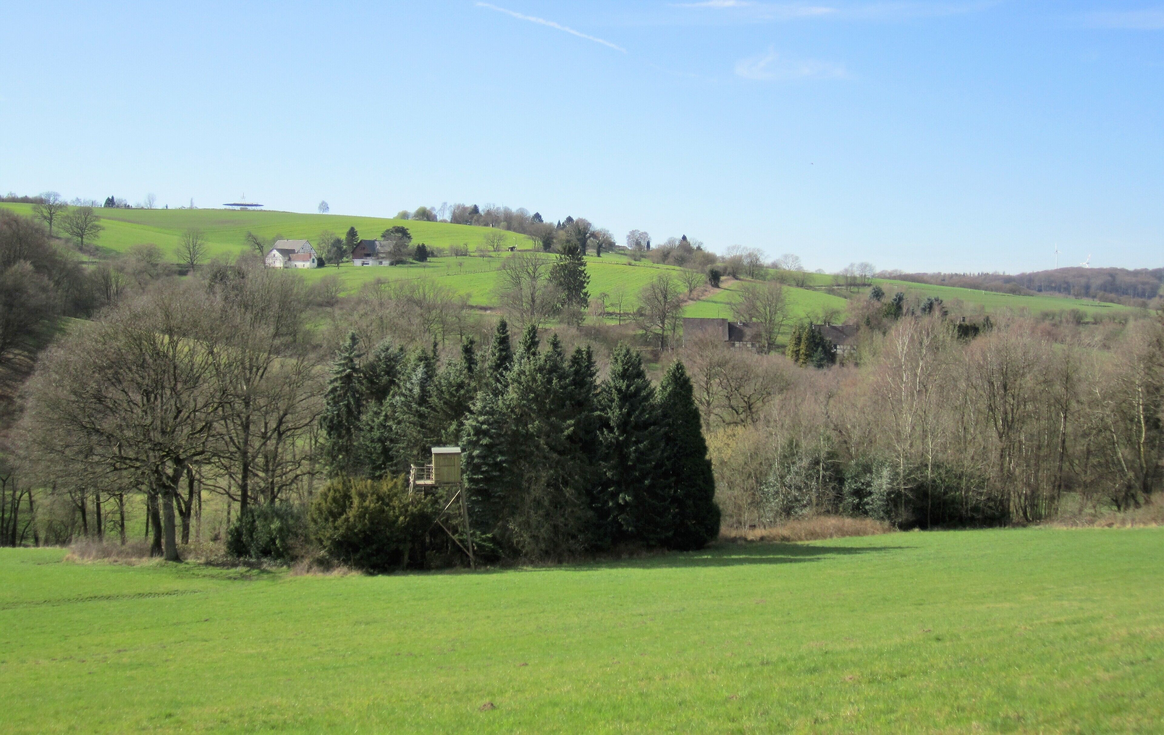 Frühjahr im Hattinger Ortsteil Oberelfringhausen. Blick über das Felderbachtal (Vordergrund) auf den Hof Bärwinkel (erstmals 1220 erwähnt) und den Lindenhof (erstmals 1005 erwähnt, heute Baudenkmal Nr. A-238) über die Felderbachstraße zum Drehfunkfeuer BAM „Barmen“ am Höhbusch. Der abgebildete Bereich liegt überwiegend im Landschaftsschutzgebiet „Niederbredenscheid-Elfringhausen“, ein kleinerer Bereich (hinter den Fichten) um den Felderbach gehört zum Landschaftsschutzgebiet „Felderbachtal-Paasbachtal-Deilbachtal“.