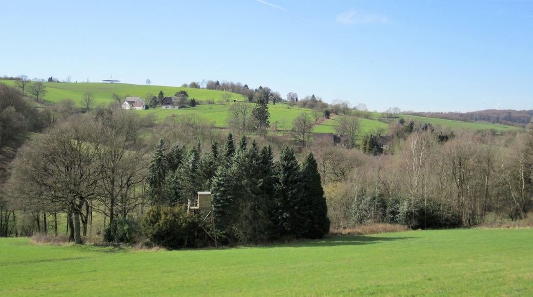 Frühjahr im Hattinger Ortsteil Oberelfringhausen. Blick über das Felderbachtal (Vordergrund) auf den Hof Bärwinkel (erstmals 1220 erwähnt) und den Lindenhof (erstmals 1005 erwähnt, heute Baudenkmal Nr. A-238) über die Felderbachstraße zum Drehfunkfeuer BAM „Barmen“ am Höhbusch. Der abgebildete Bereich liegt überwiegend im Landschaftsschutzgebiet „Niederbredenscheid-Elfringhausen“, ein kleinerer Bereich (hinter den Fichten) um den Felderbach gehört zum Landschaftsschutzgebiet „Felderbachtal-Paasbachtal-Deilbachtal“.