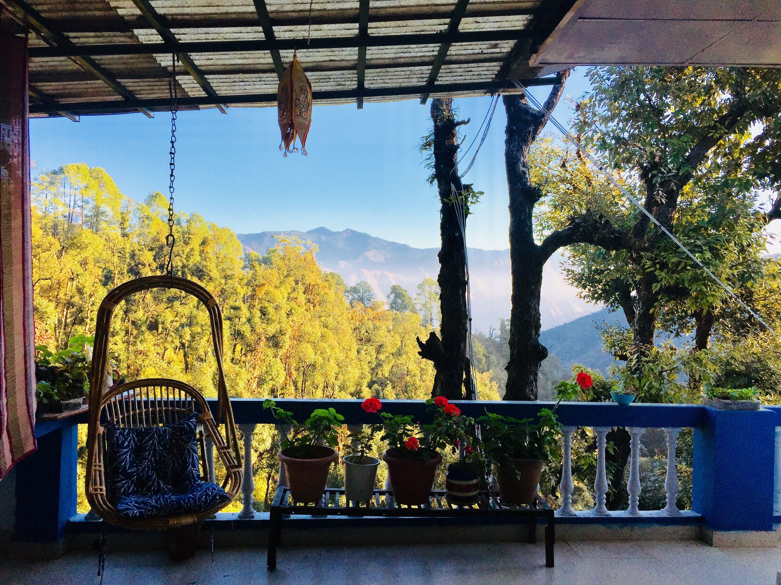 A wicker chair and potted plants on a balcony overlooking a forested mountain range.