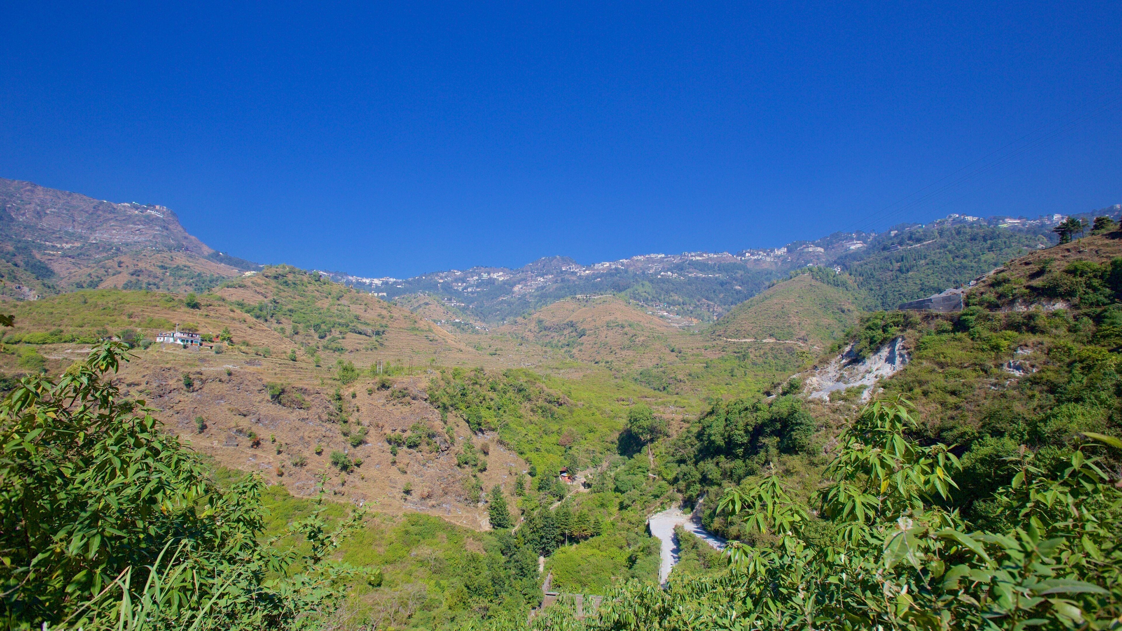 Mussoorie mettant en vedette paysages paisibles et forêt tropicale