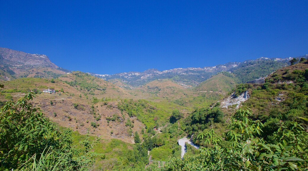 Mussoorie mettant en vedette paysages paisibles et forĂȘt tropicale