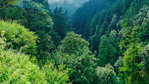 Rainbow Reflection
#Green #India #Mussorie
#trovember
#lifeatexpediagroup