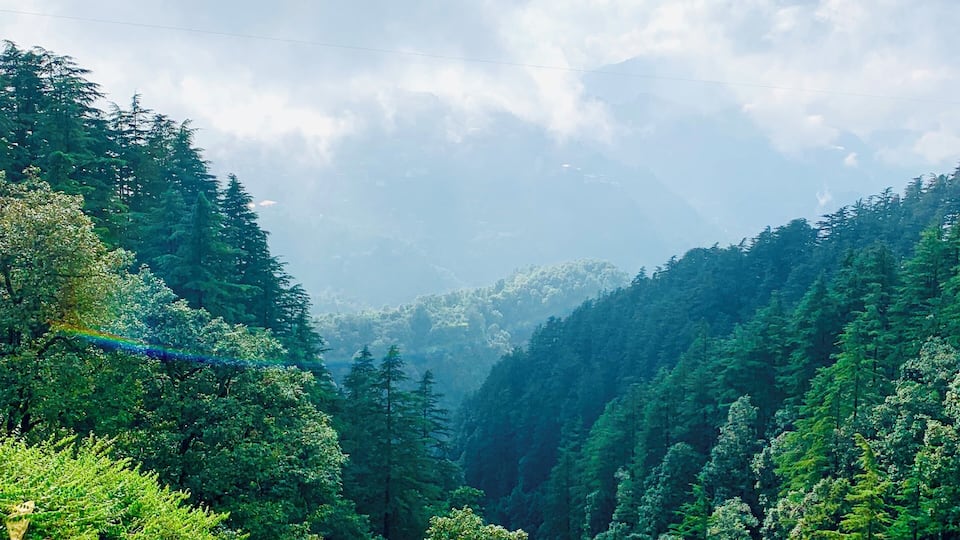 Rainbow Reflection
#Green #India #Mussorie
#trovember
#lifeatexpediagroup