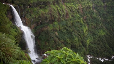 A waterfall cascading down a lush, green hillside.