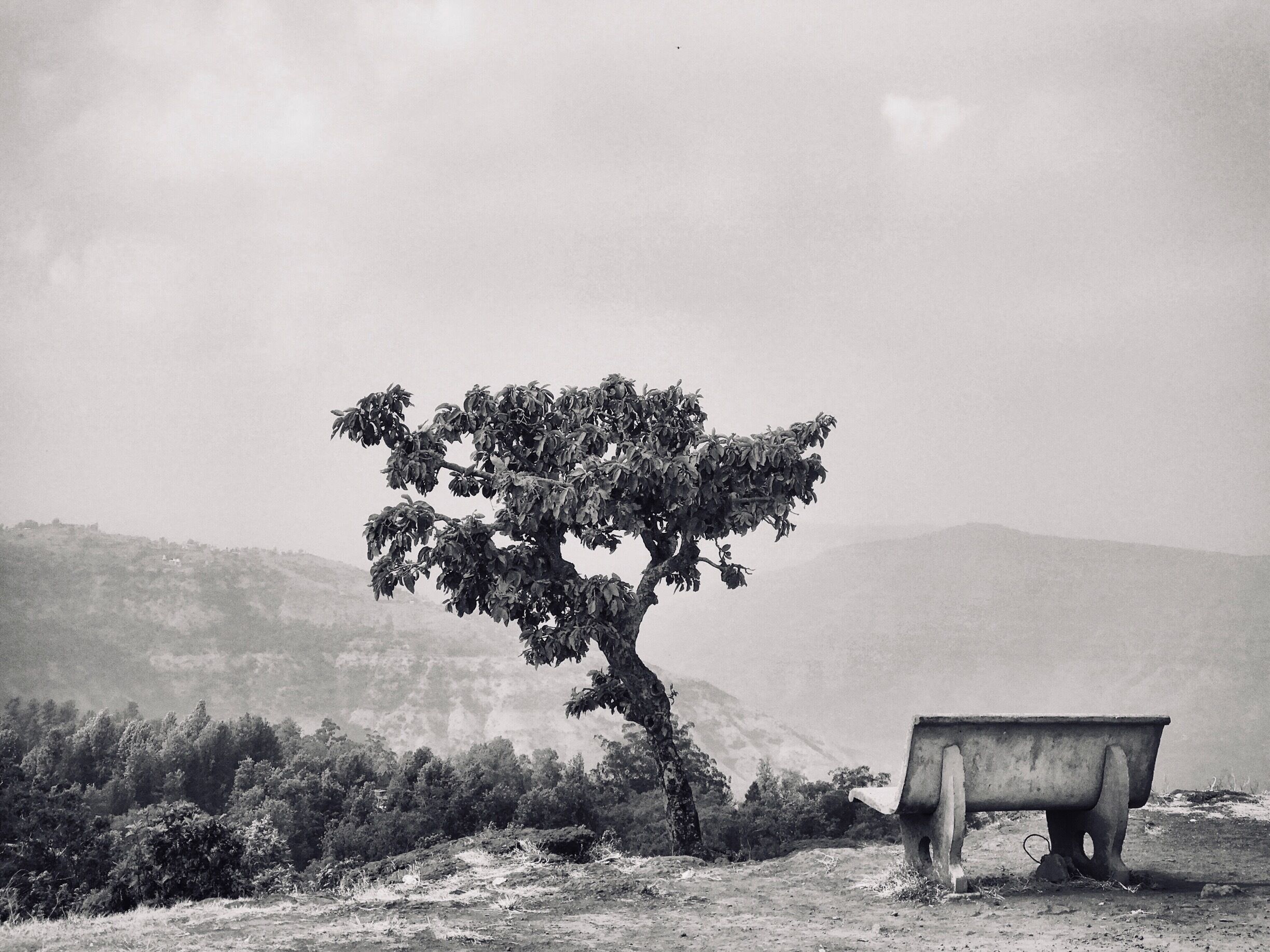 “Lets sit and talk”

This is one of the vantage points at table Top, panchgani.

P.S. this is not a painting.

#LifeAtExpedia