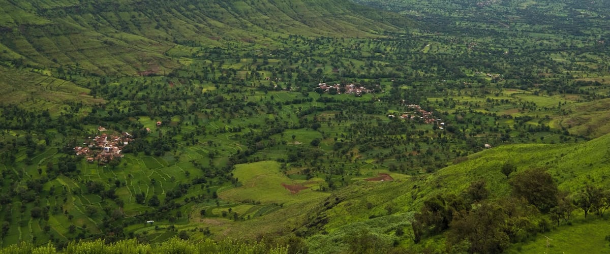 A lush green valley with terraced fields and scattered houses.