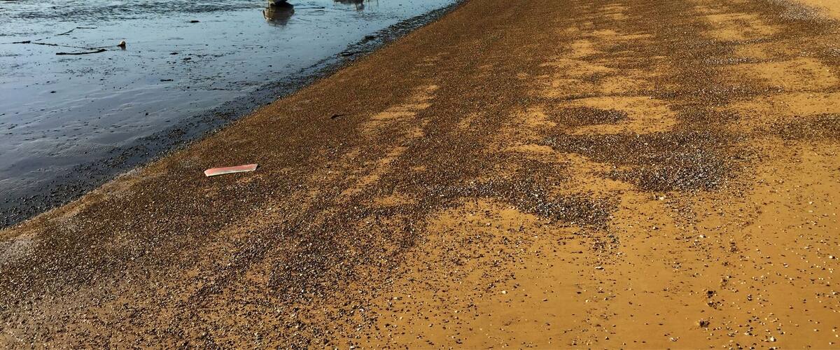 Harwich. My Essex Coast trip. My intent is to travel around the whole of the UK coast.